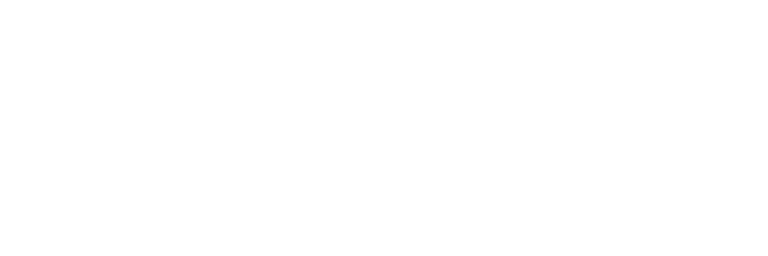 Evidence Action ERM System logo